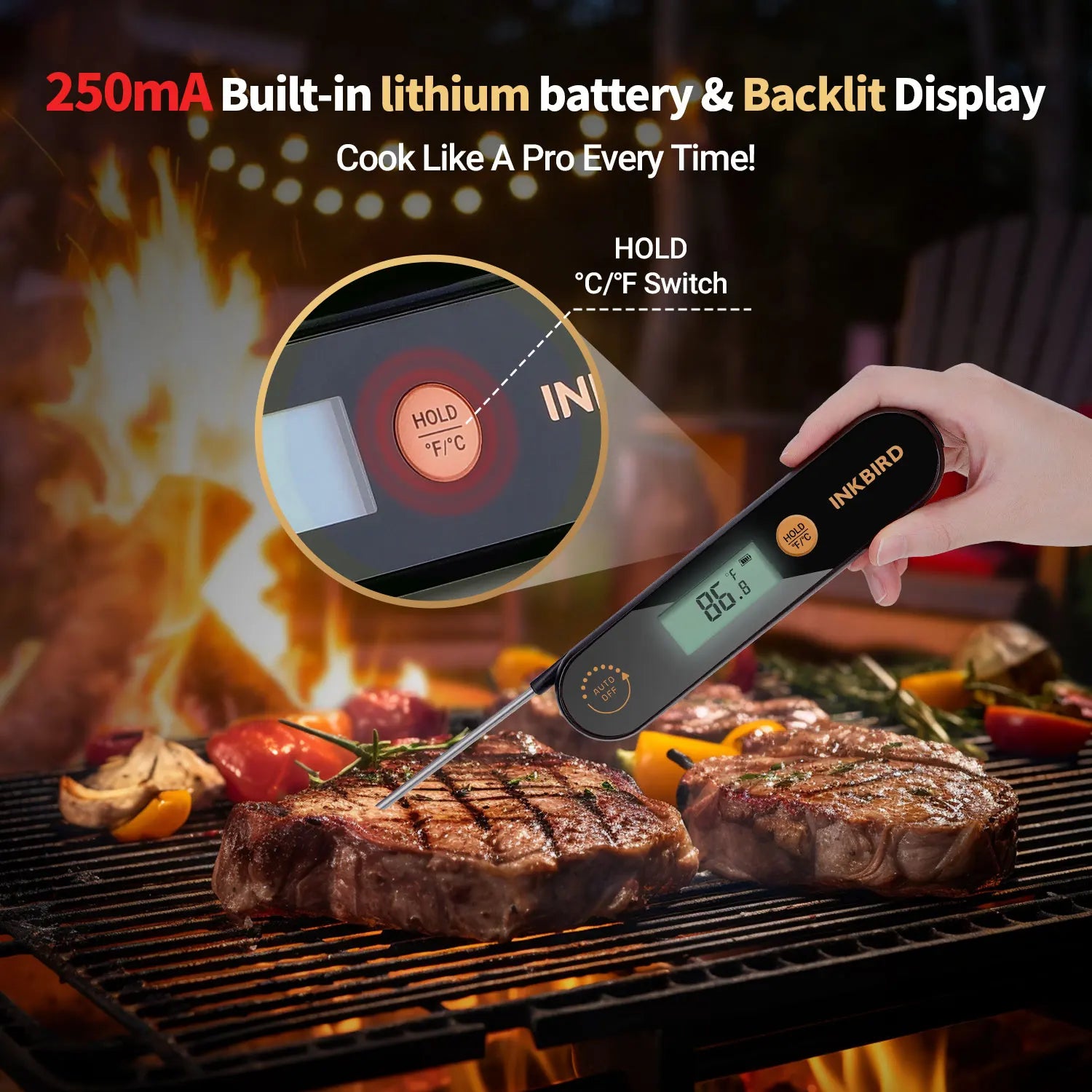INKBIRD Digital Handheld Meat Thermometer Rechargable Waterproof  Instant Read Food Thermometer with Folding Probes for BBQ Milk